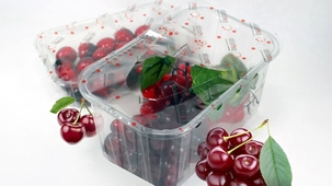 fruit-packaging-machine